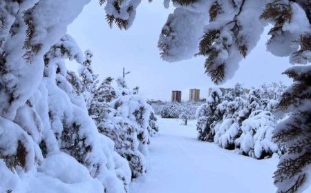 MALATYA'YA LAPA LAPA KAR YAĞDI