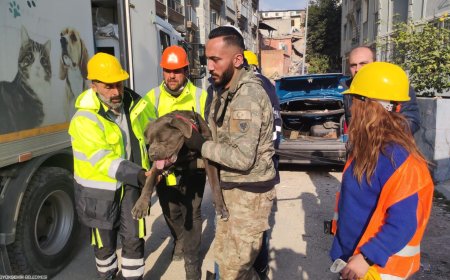 İZMİR BÜYÜKŞEHİR BELEDİYESİ DEPREMDEN ETKİLENEN HAYVANLARI UNUTMADI