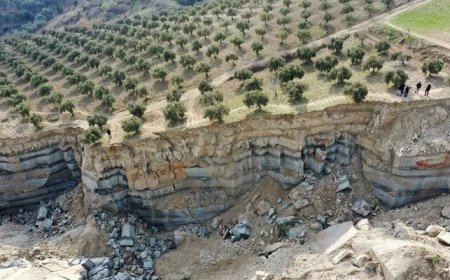 DEPREM TARIMI DA VURDU: YÜZDE 16'SI BU BÖLGEDE