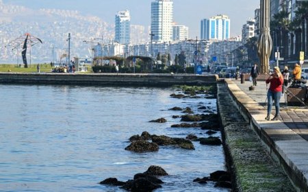 PROF.DR.DOĞAN YAŞAR'DAN EGE'DE SULARIN ÇEKİLMESİNE İLİŞKİN  AÇIKLAMA