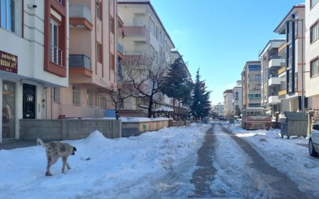 MALATYA'DA KİRA FIRSATÇILIĞI :2 BİN TL'LİK KİRA 9 BİN TL'YE ÇIKTI