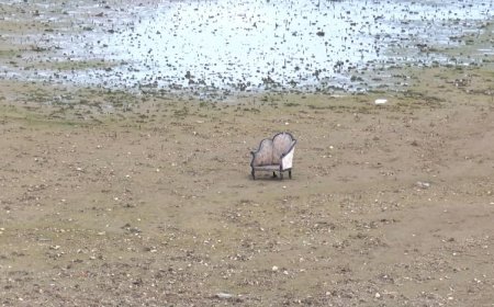 İSTANBUL BARAJLARI ALARM VERİYOR:YÜZDE 94'TEN YÜZDE 30'A DÜŞTÜ