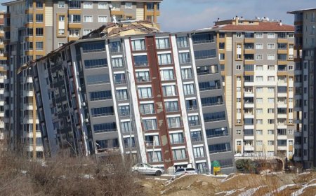 'O KAYISI AĞACINI ORADAN SÖKÜP 12 KAT İMAR VEREN KİMSE BUNLAR HESAP VERMELİ'