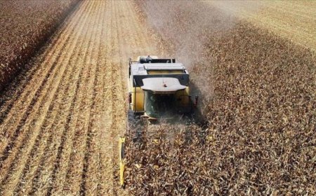 TARIMDA ÜRETİCİ FİYATLARI YILDA YÜZDE 127,56 ARTTI