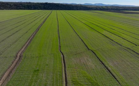 TARIM SEKTÖRÜNDE 24,2 MİLYAR TL'LİK  HASAR