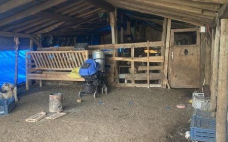 KALDIĞI AHIRDA ENFEKSİYON KAPAN KANSER HASTASI DEPREMZEDE YAŞAMINI YİTİRDİ