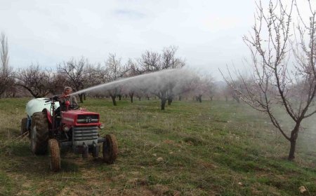 DEPREMİN VURDUĞU MALATYA’DA KAYISI ÜRETİCİLERİ YENİ SEZONA HAZIRLANIYOR