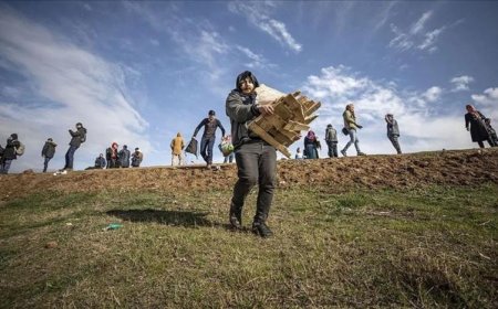 TÜİK TÜRKİYE'YE GÖÇ EDENLERİN SAYISINI AÇIKLADI