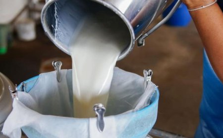 İÇME SÜTÜ ÜRETİMİ ŞUBATTA YÜZDE 8,5 AZALDI