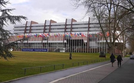 İYİP VE HDP'YE AKPM'DEN ZİYARET