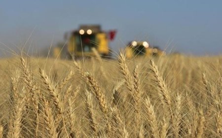 RUSYA TAHIL KORİDORU ANLAŞMASININ UZATILMASI İÇİN TALEPLERİNİ AÇIKLADI