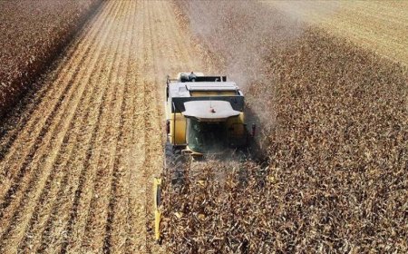 TARIMDA ÜRETİCİ ENFLASYONU MART'TA YÜKSELİŞİNİ SÜRDÜRDÜ