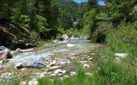 KORUNAN ALANLARDA HES YAPIMINA YÜRÜTMEYİ DURDURMA KARARI