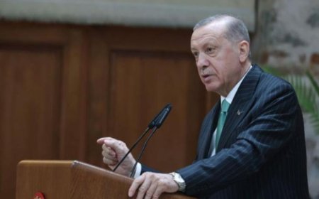 METROPOLL YÖNETİCİSİ: ERDOĞAN ÜST SINIRA ULAŞTI