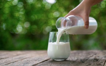 SÜT ÜRETİMİ YÜZDE 7,1 ORANINDA AZALDI