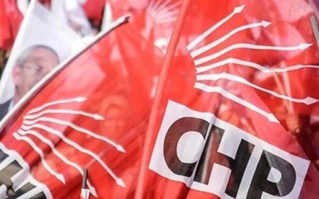 CHP 21 YIL SONRA DİYARBAKIR'DAN MİLLETVEKİLİ ÇIKARDI