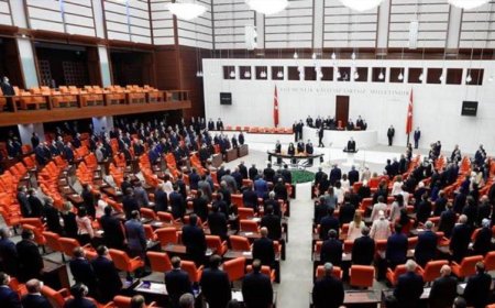 600 MİLLETVEKİLLİNİN 335'İ İLK KEZ SEÇİLDİ