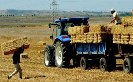 TÜİK: TARIMSAL GİRDİ FİYATLARI İLK ÇEYREKTE YÜZDE 9,05 ARTTI