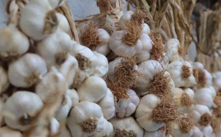 SOĞAN TAHTINI SARIMSAĞA KAPTIRDI: 'MARKETTE 30 LİRA'