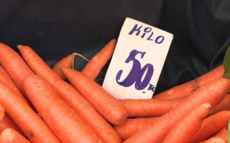 TANESİ 7 LİRAYA DENK GELİYOR: HAVUCUN KİLOSU 50 LİRAYI BULDU