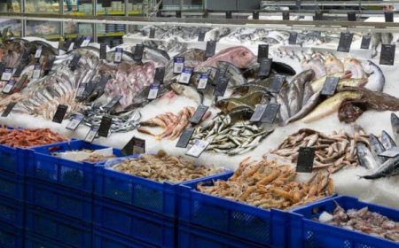 Balık Yemek Saldırganlığı Azaltıyor!