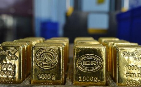 MERKEZ BANKASI İKİ AYDA 96 TON ALTIN SATTI