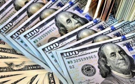 MERKEZ BANKASI'NIN NET REZERVİ TARİHİ DÜŞÜK SEVİYEYE İNDİ