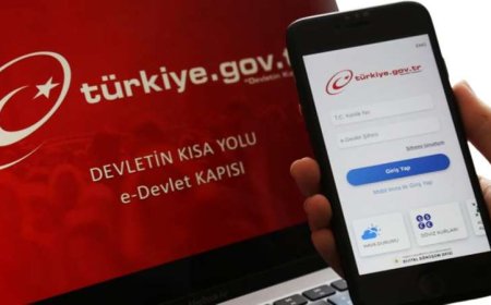 85 MİLYONUN E-DEVLET VERİLERİ ÇALINDI: TC KİMLİK NUMARALARI BİLE...