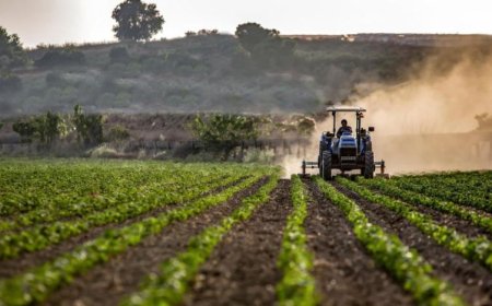 TÜİK: TARIMSAL GİRDİ ENFLASYONU YÜZDE 40