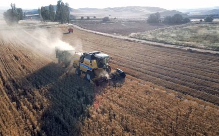 Çiftçilerin dikkatine! Başvurular 22 Şubat’ta sona eriyor