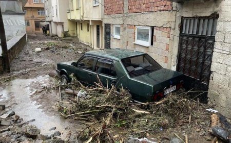 ORDU VE GİRESUN'DA SEL VE HEYELANLAR: BİR EV YIKILDI