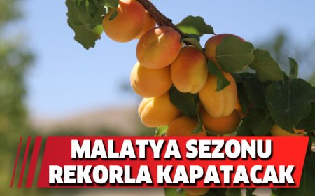 MALATYA SEZONU REKORLA KAPATACAK