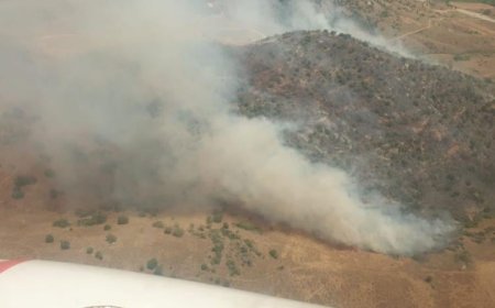 İZMİR'DE TARLADA BAŞLAYAN VE BOZUK ORMANA SIÇRAYAN YANGINA MÜDAHALE EDİLİYOR