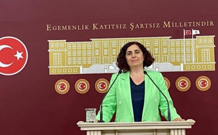 SİLVAN'DAKİ ORMANLIK ALANIN TAHRİBATA UĞRAMASI MECLİSE GÜNDEMİNE TAŞINDI