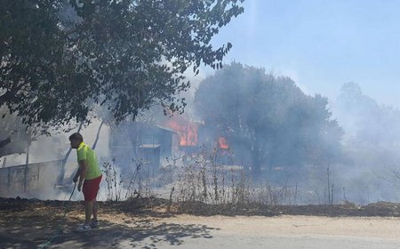 ORMANLAR YANDI, KÜLE DÖNDÜ