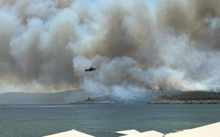 URLA DEMİRCİLER KOYU’NDA ORMAN YANGINI