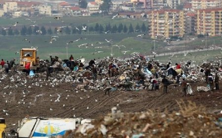 HARMANDALI ÇÖPLÜĞÜNE MAHKEME"DUR" DEDİ.