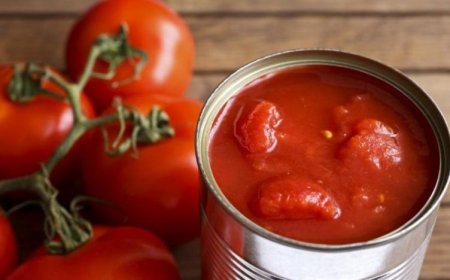 'SALÇA 70 LİRA OLACAK'