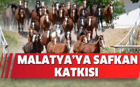 MALATYA'YA SAFKAN KATKISI