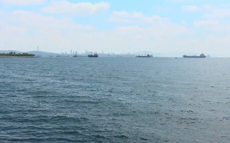 PROF. KURNAZ'DAN YETKİLİLERE 'AŞIRI SICAKLIK' ÇAĞRISI: BUNLAR DAHA İYİ GÜNLERİMİZ