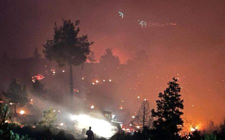 NALLIHAN'DA ORMAN YANGINI KORKUTTU