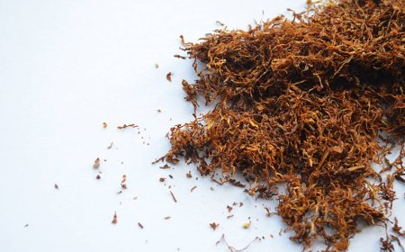 BİR SİGARA GRUBU, SARMA TÜTÜNE ZAM YAPTI