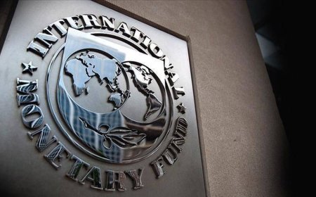 YÜKSEK ENFLASYON İLE MÜCADELE EDEN ARJANTİN IMF'DEN BORÇ ALACAK
