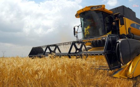 TÜİK: TARIMSAL GİRDİ ENFLASYONU HAZİRANDA YÜZDE 27,7 OLDU