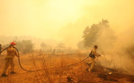 ÇANAKKALE'DE ORMAN YANGINI: 1500 HEKTAR ETKİLENDİ, 1251 KİŞİ TAHLİYE EDİLDİ