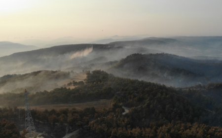 ÇANAKKALE’DE ORMAN YANGINI 3. GÜNÜNDE: GEMİ TRAFİĞİ ÇİFT YÖNLÜ ASKIYA ALINDI