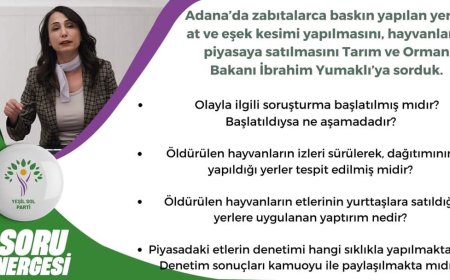 Adana Milletvekili Tülay Hatimoğulları soru önergesi verdi; "ADANA HALKINA EŞEK ETİ YEDİRİLMİŞMİDİR"