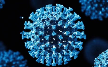 Covid-19'un Eris varyantı Türkiye'de