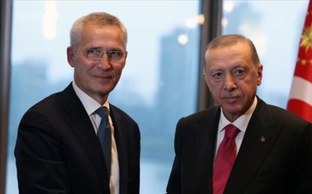 Erdoğan, NATO Genel Sekreteri Jens Stoltenberg'le görüştü