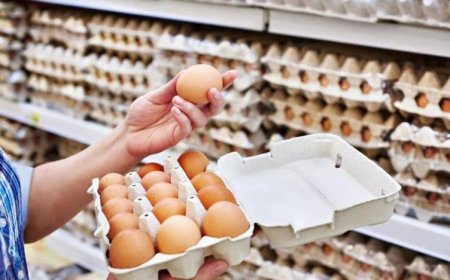 Sofradan yumurta da kalkıyor!